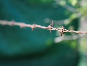 brown steel barbed wire thumbnail