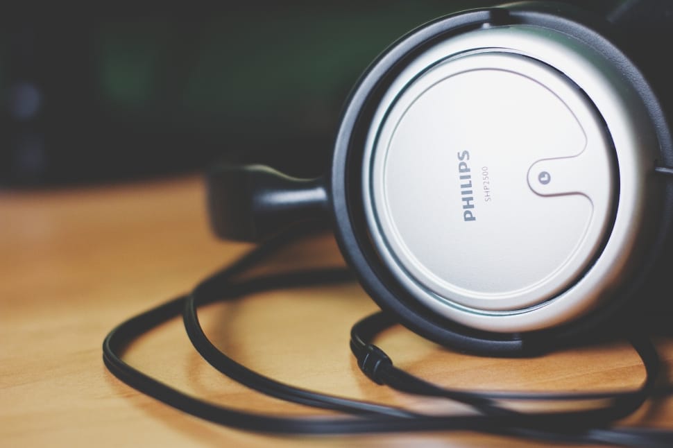 black and grey philips headphones preview