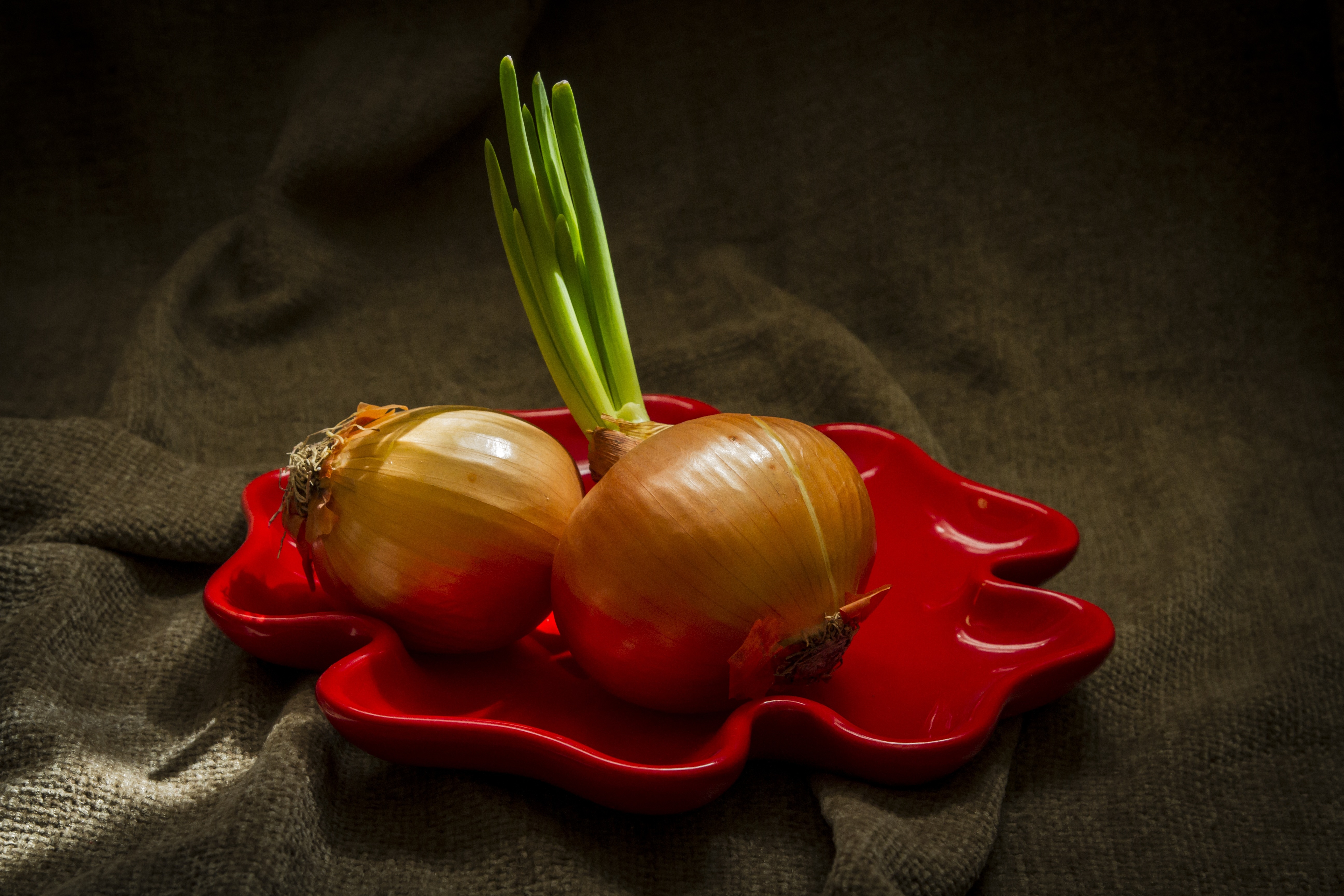 two  brown onions
