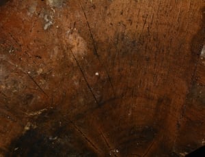 brown wooden surface thumbnail