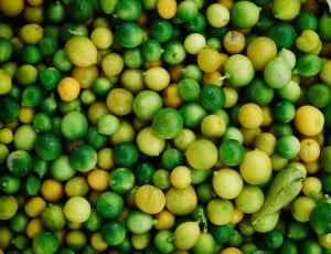 green and yellow round fruit lot thumbnail