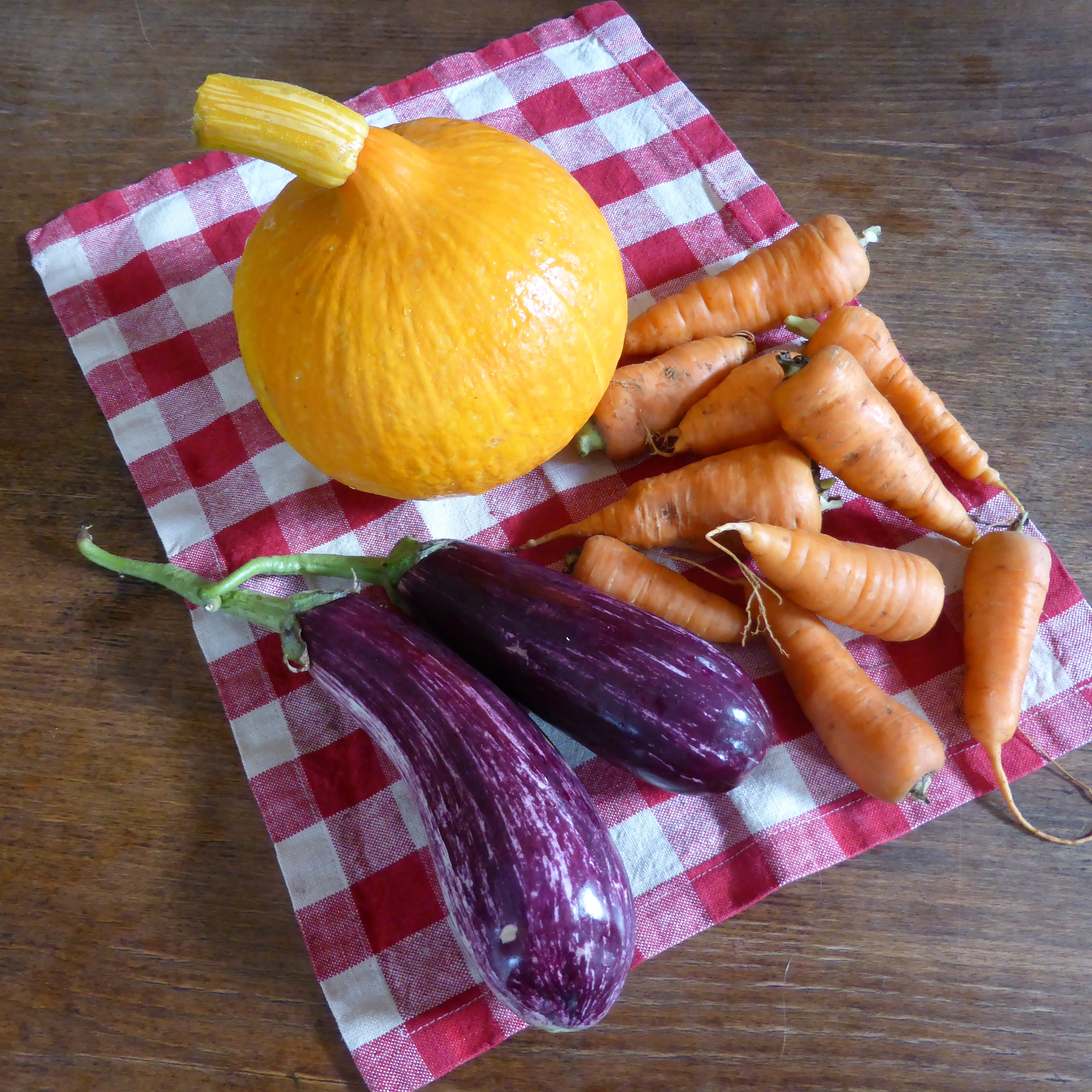 carrots, squash and eggplant