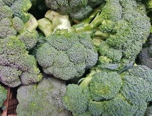 broccoli vegetable thumbnail