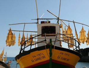 white green and yellow boat thumbnail