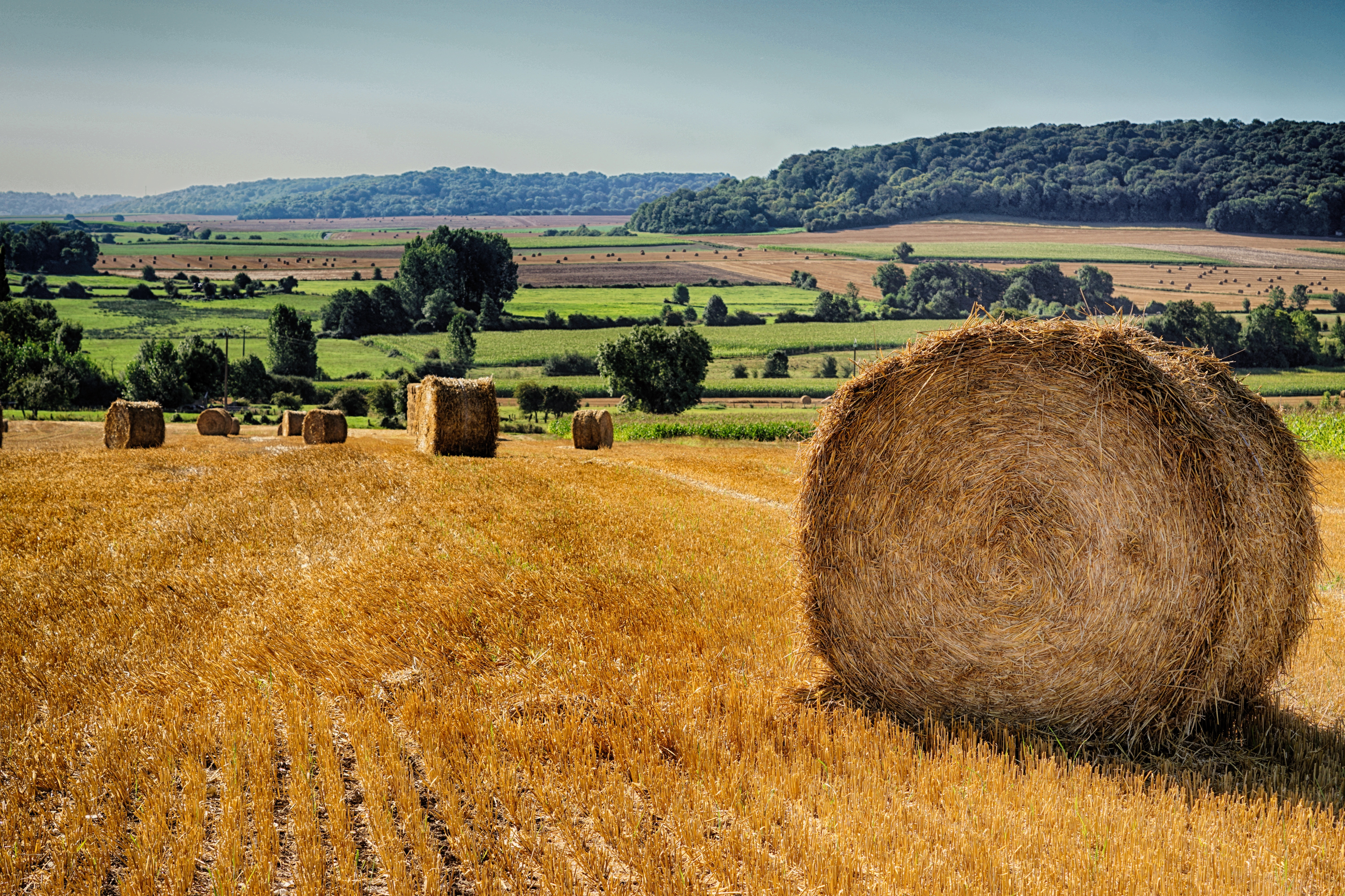 hay rolls on field under blue sky at daytime