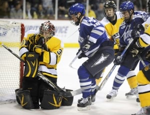 hockey players in game picture thumbnail