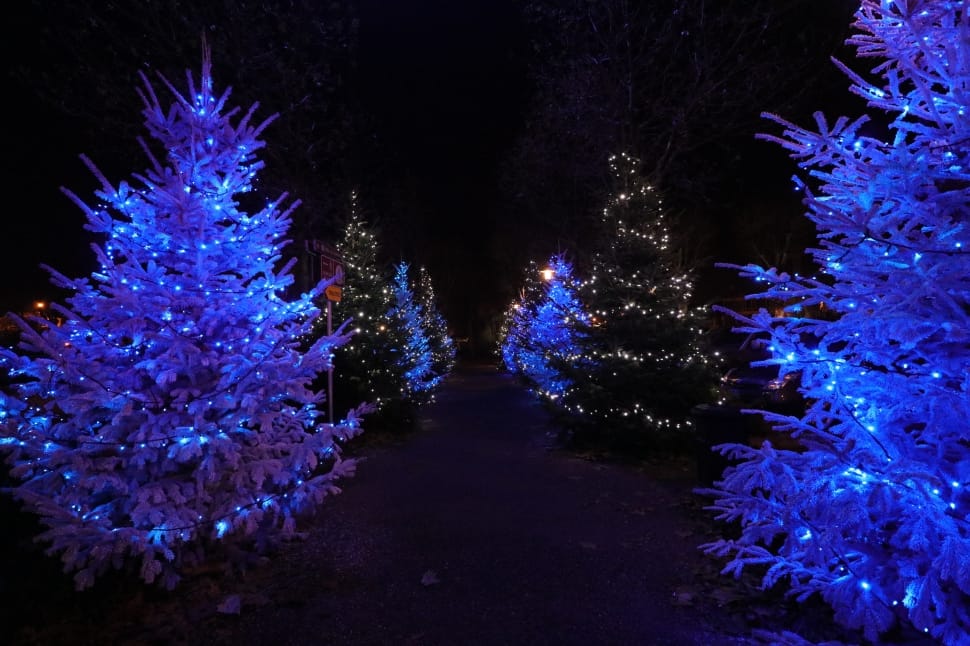 Lights, Christmas, Lichterkette, night, illuminated preview