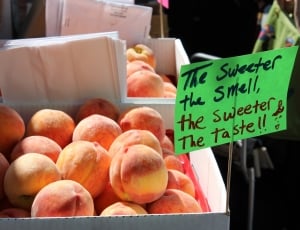 ripe peaches thumbnail