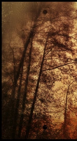 brown and black trees painting thumbnail