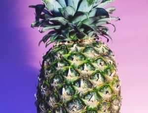 shallow focus photography of unripe pineapple thumbnail
