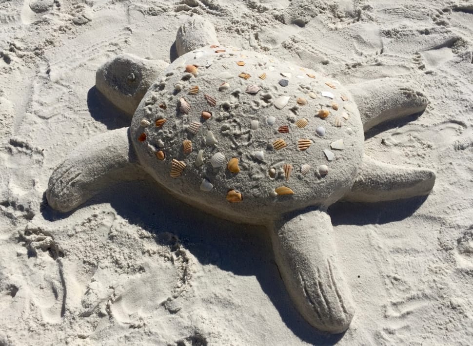 tortoise shape sand preview