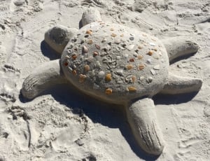 tortoise shape sand thumbnail