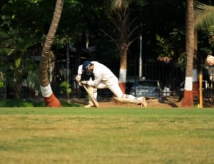 shallow focus photography of baseball player holding baseball bat on green grass field during daytime thumbnail