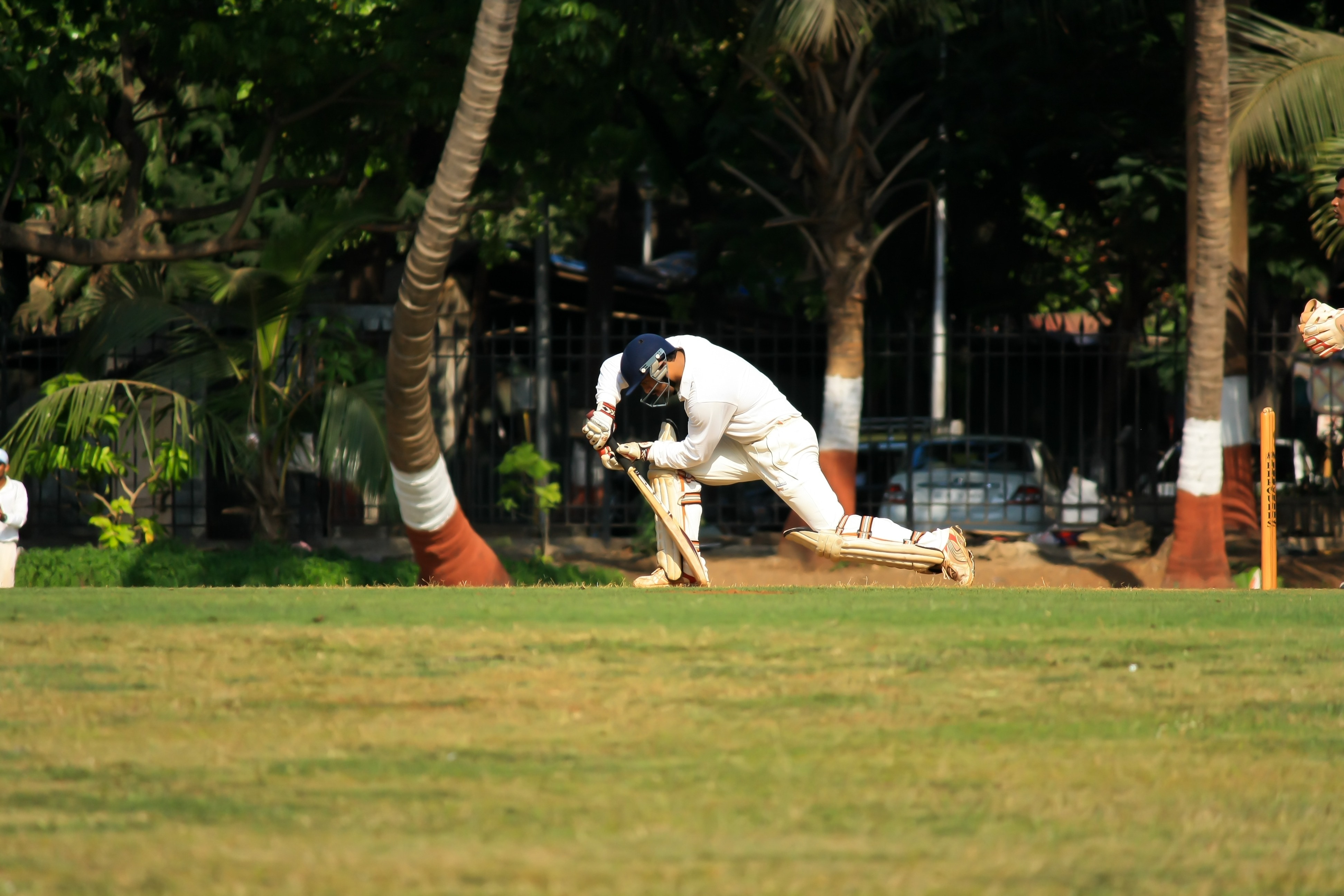 shallow focus photography of baseball player holding baseball bat on green grass field during daytime