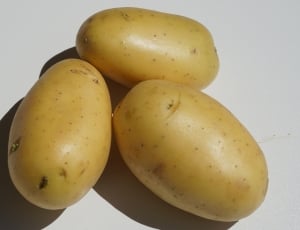 2 brown potatoes thumbnail