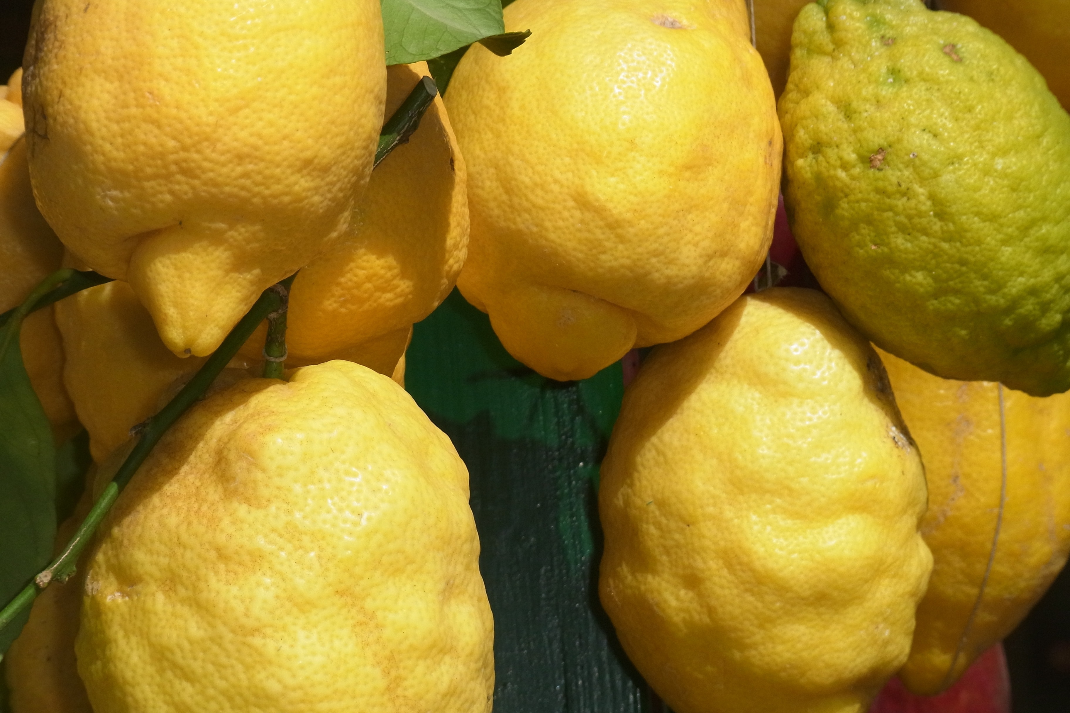 yellow lemon