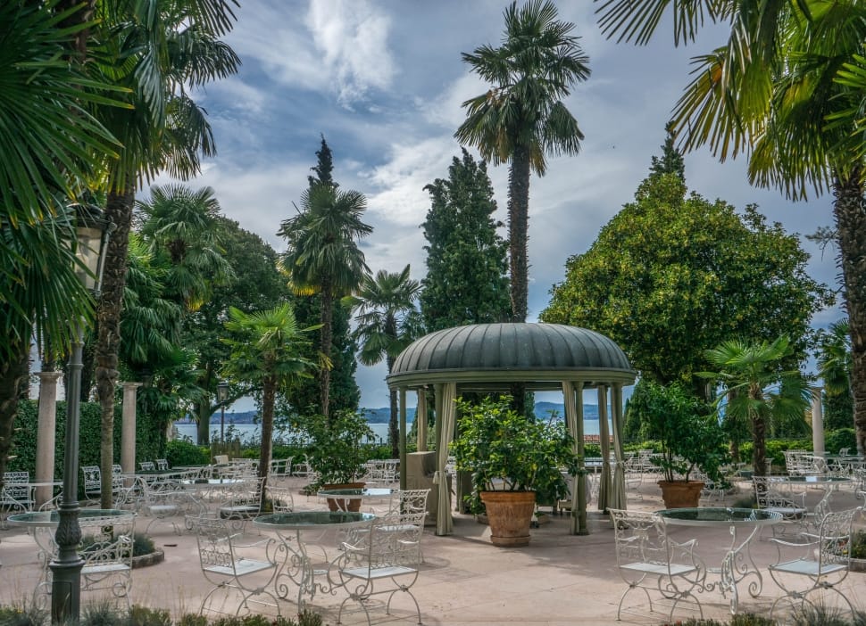 white patio tables and chairs and green tall trees during daytime preview