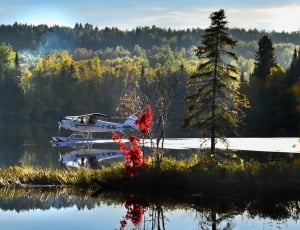 white and red monoplane on river surrounded with trees thumbnail