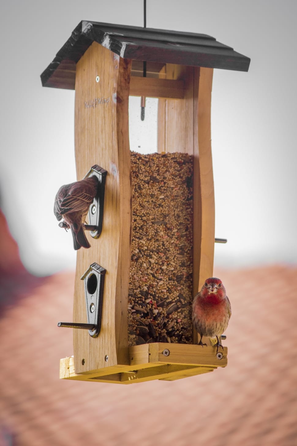 brown wooden bird food hanging dispenser preview