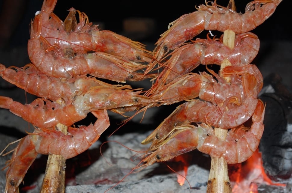 grilled shrimps preview