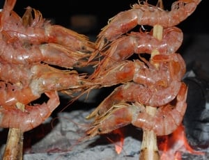 grilled shrimps thumbnail