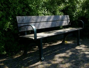 black and gray wooden bench thumbnail