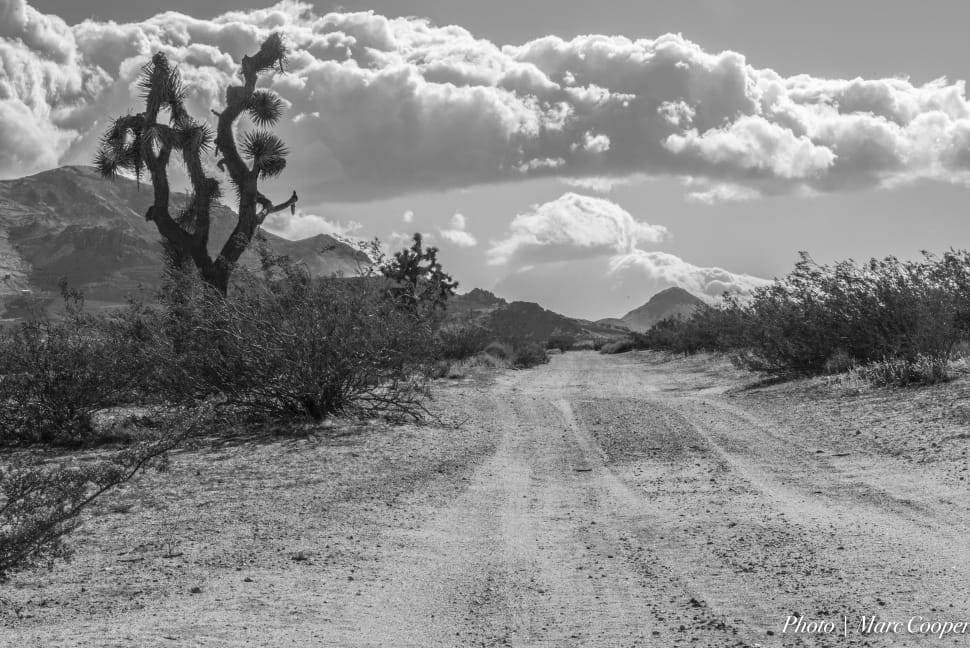 Near Mojave Desert preview