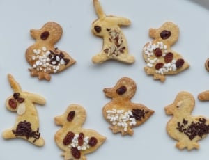 assorted animal shape baked cookies thumbnail