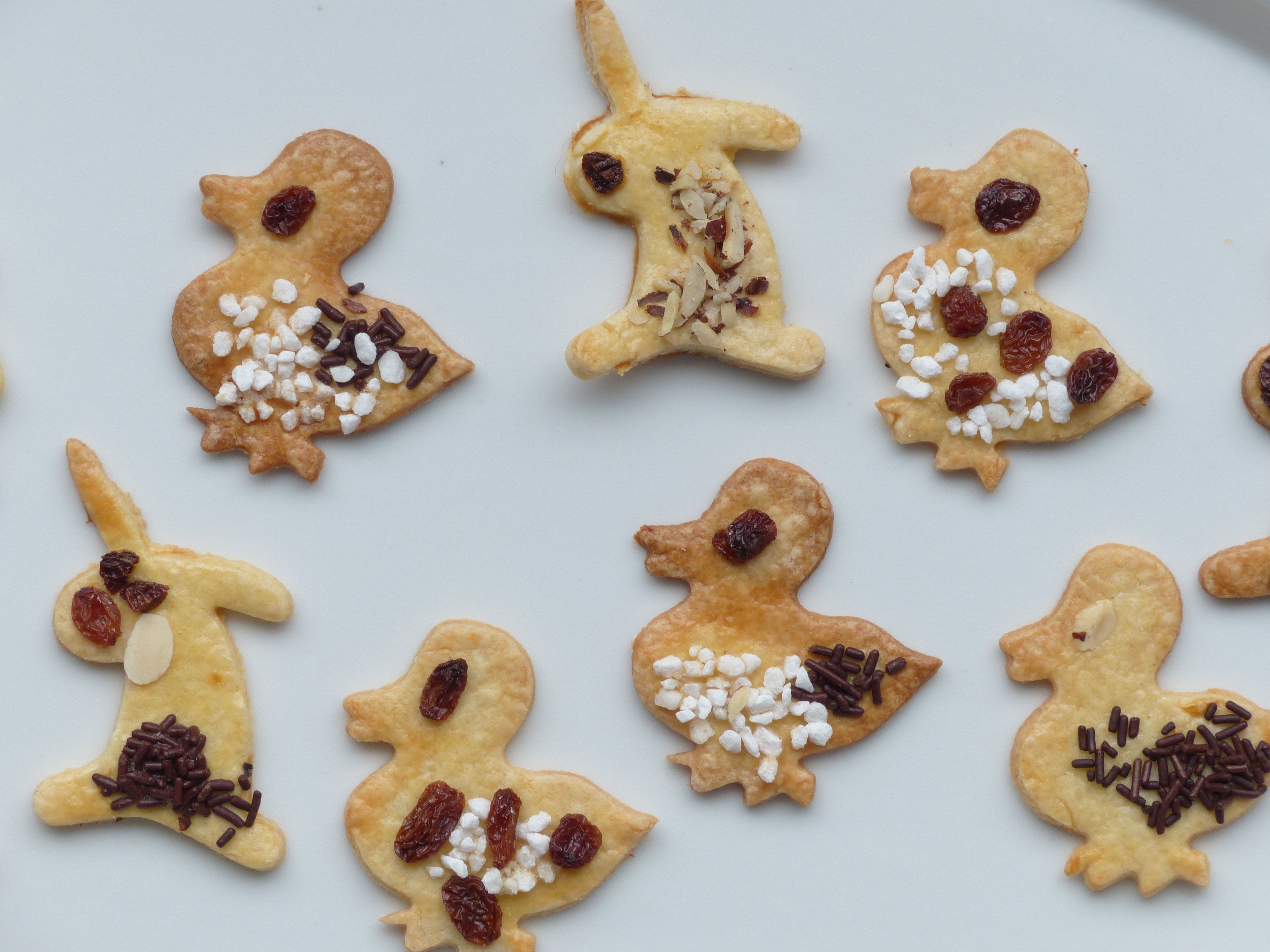 assorted animal shape baked cookies