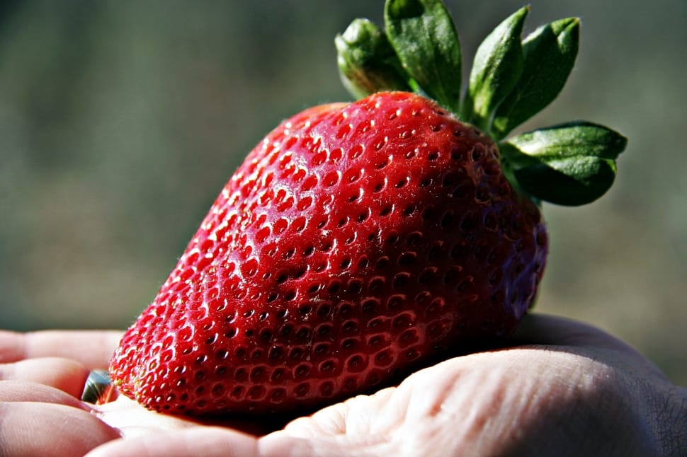 strawberry fruit preview