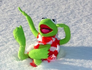 Cold, Winter, Frog, Snow, Fun, Kermit, green color, no people thumbnail