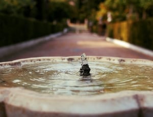 Spanish, Spain, City, Landmark, Fountain, water, selective focus thumbnail