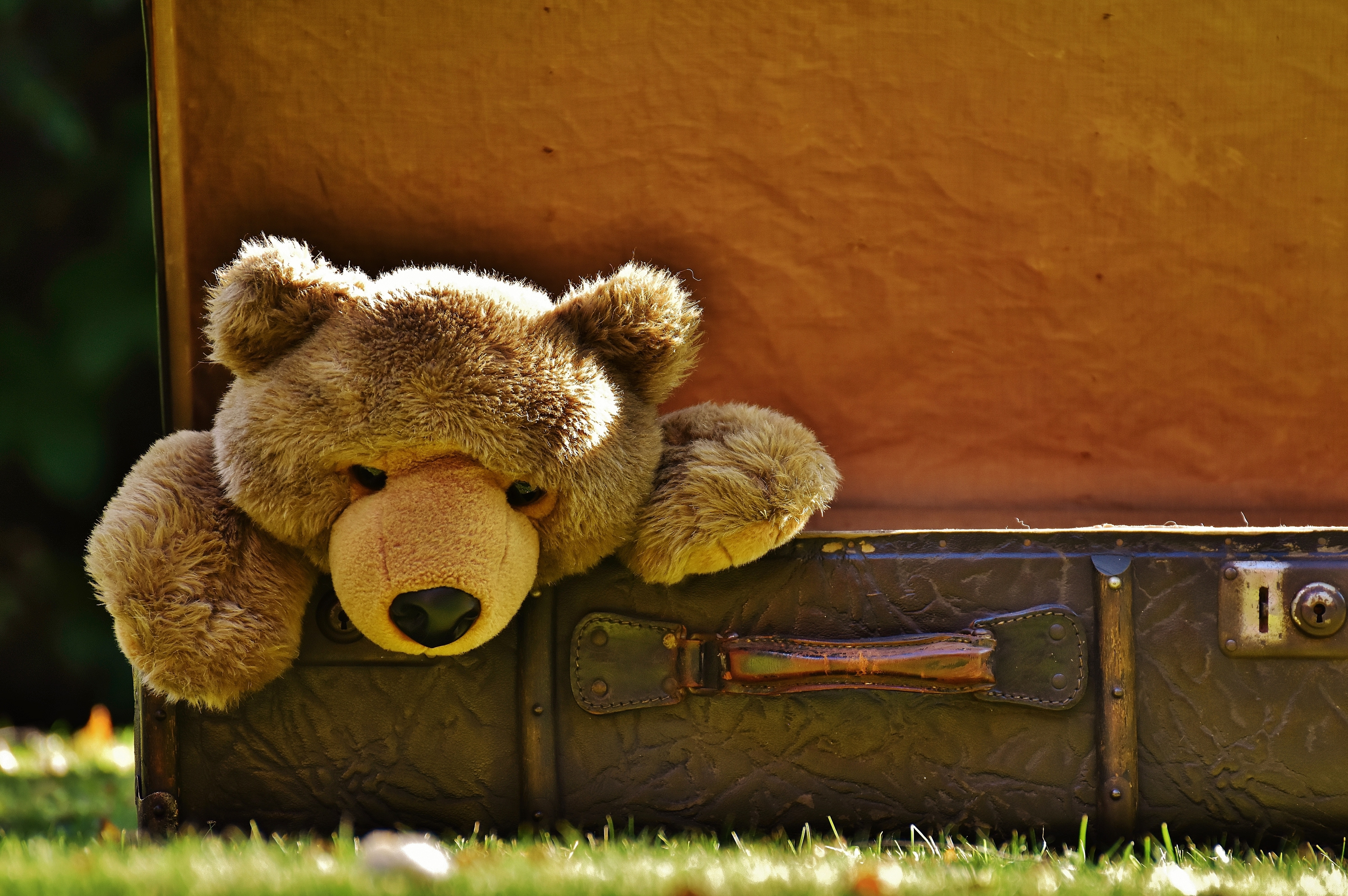 brown teddy bear and luggage