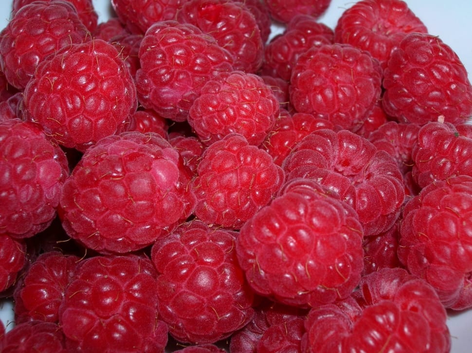red raspberries preview