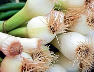 spring onion thumbnail