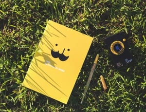 Notebook, Mustache, Camera, Yellow, Pen, yellow, grass thumbnail