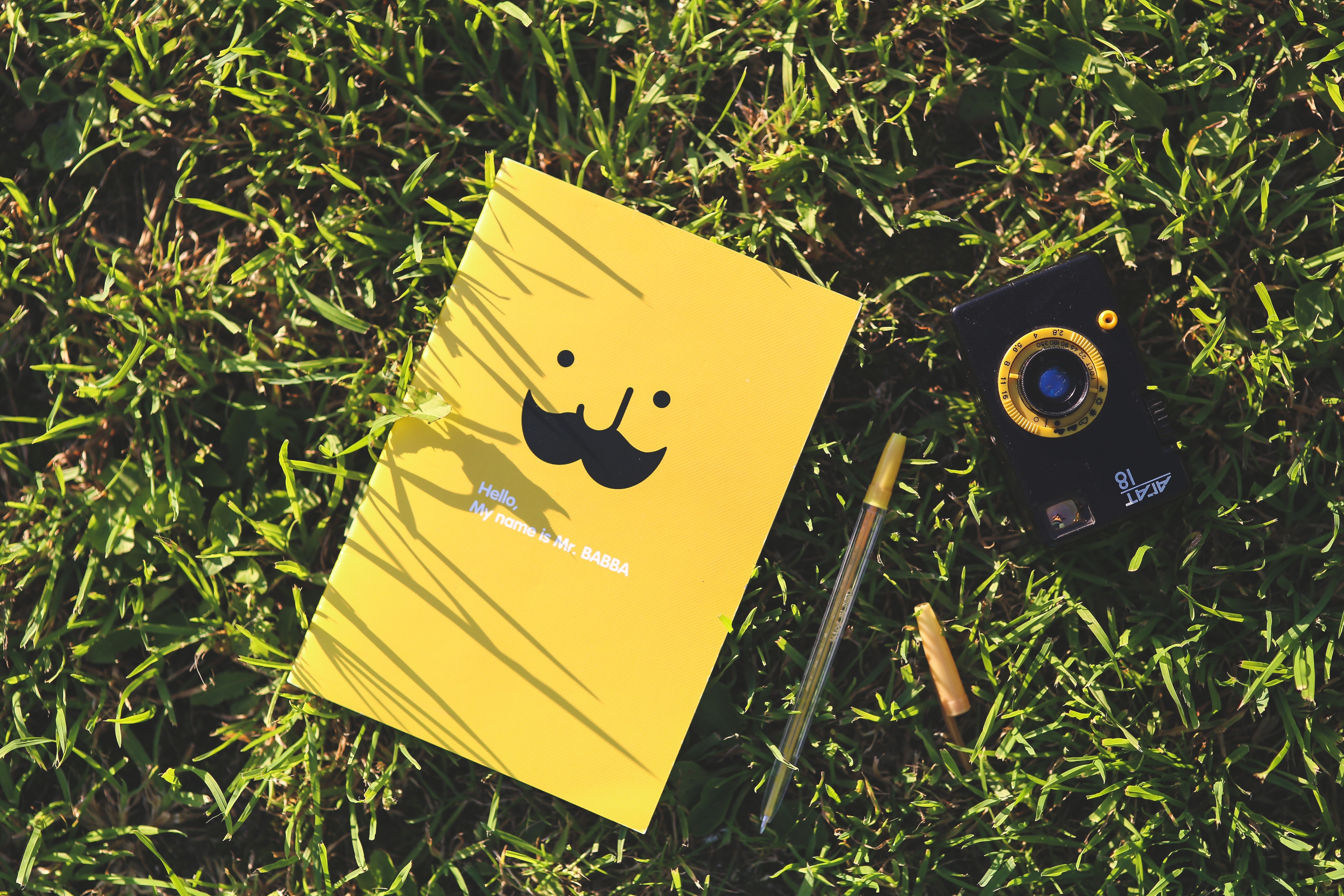 Notebook, Mustache, Camera, Yellow, Pen, yellow, grass