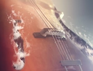 close up photo of 5-string string instrument thumbnail