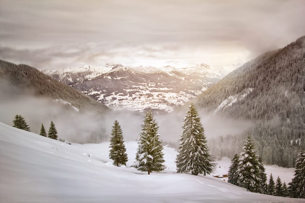 winter alps covered with snow preview