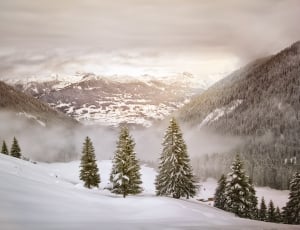 winter alps covered with snow thumbnail