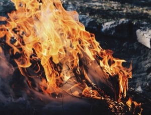 photo of a flame on ground thumbnail