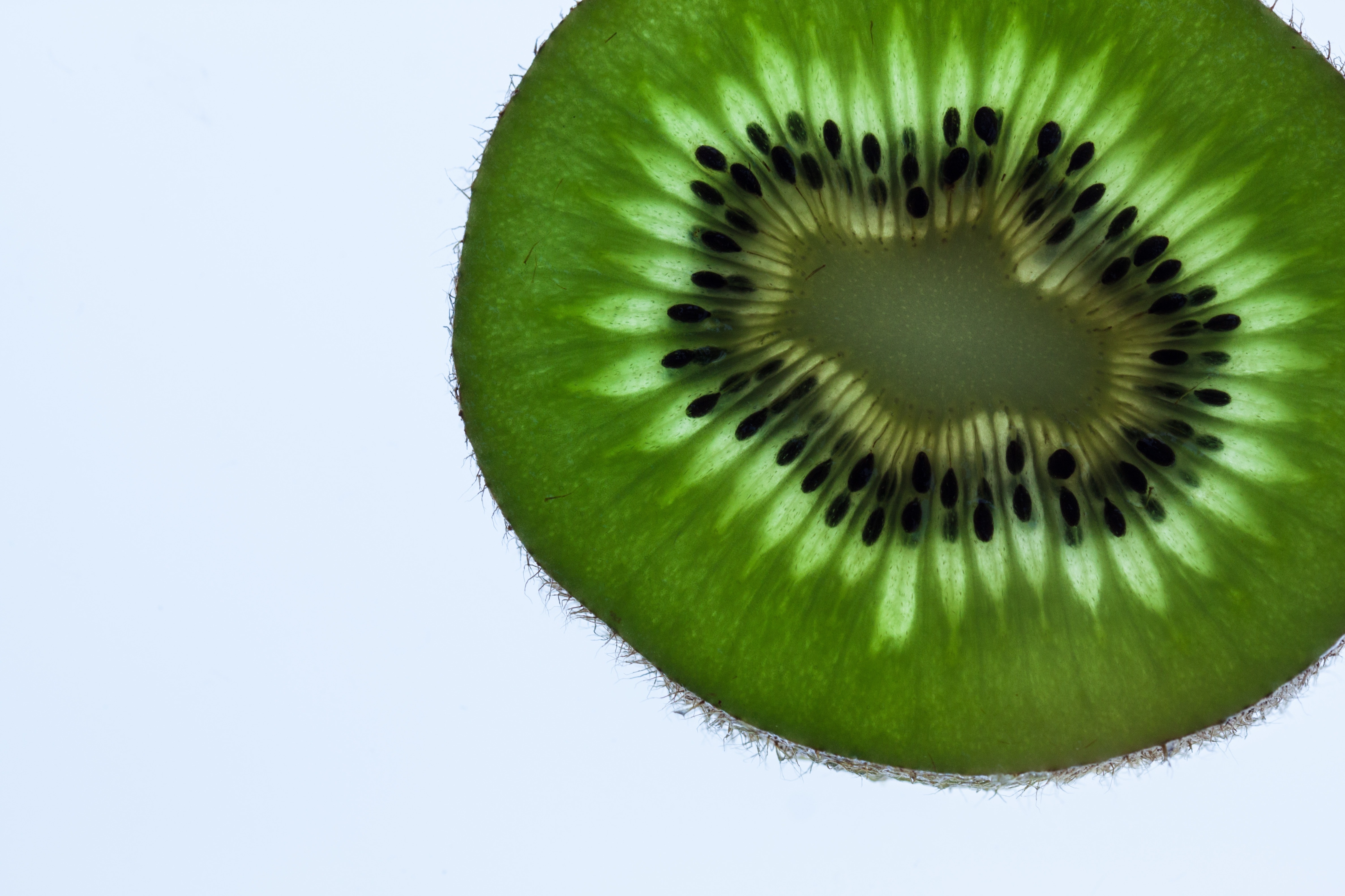 sliced kiwi melon