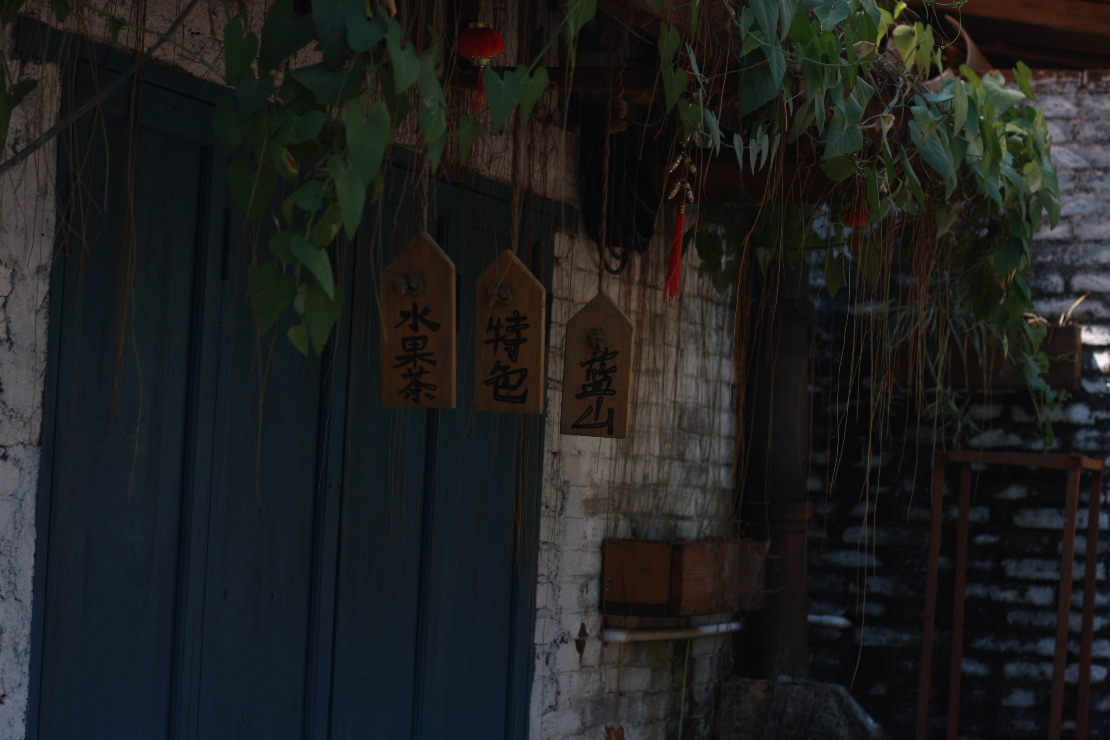 three brown wooden kanji script door decor surrounded with vines
