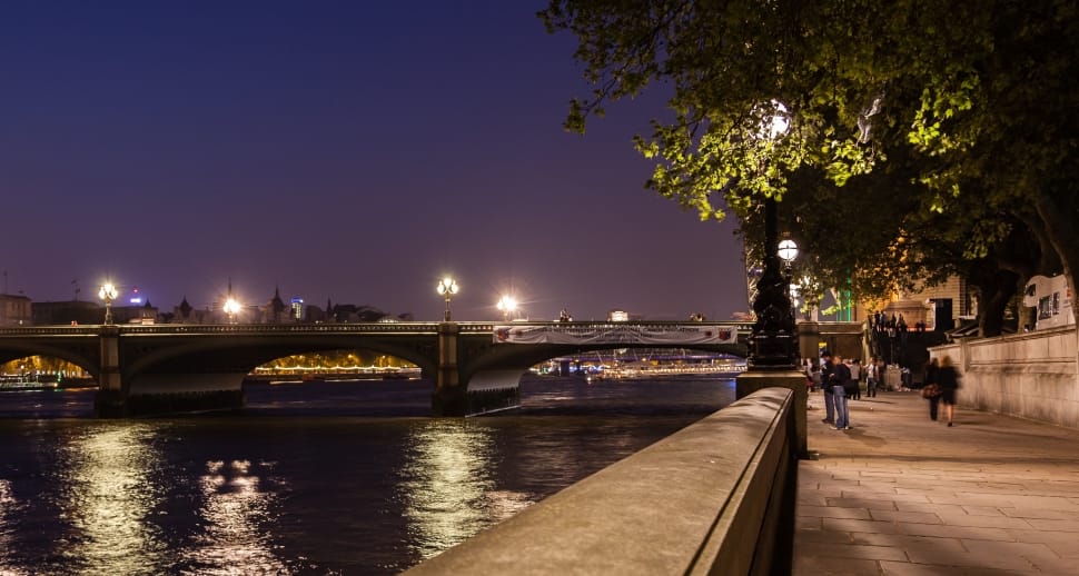 London, Night Time, Westminster, Bridge, illuminated, tree preview