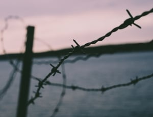 barbwire fence near body of water thumbnail