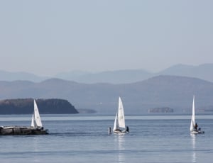 3 white sailboats thumbnail