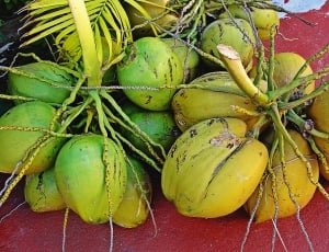 green coconuts thumbnail