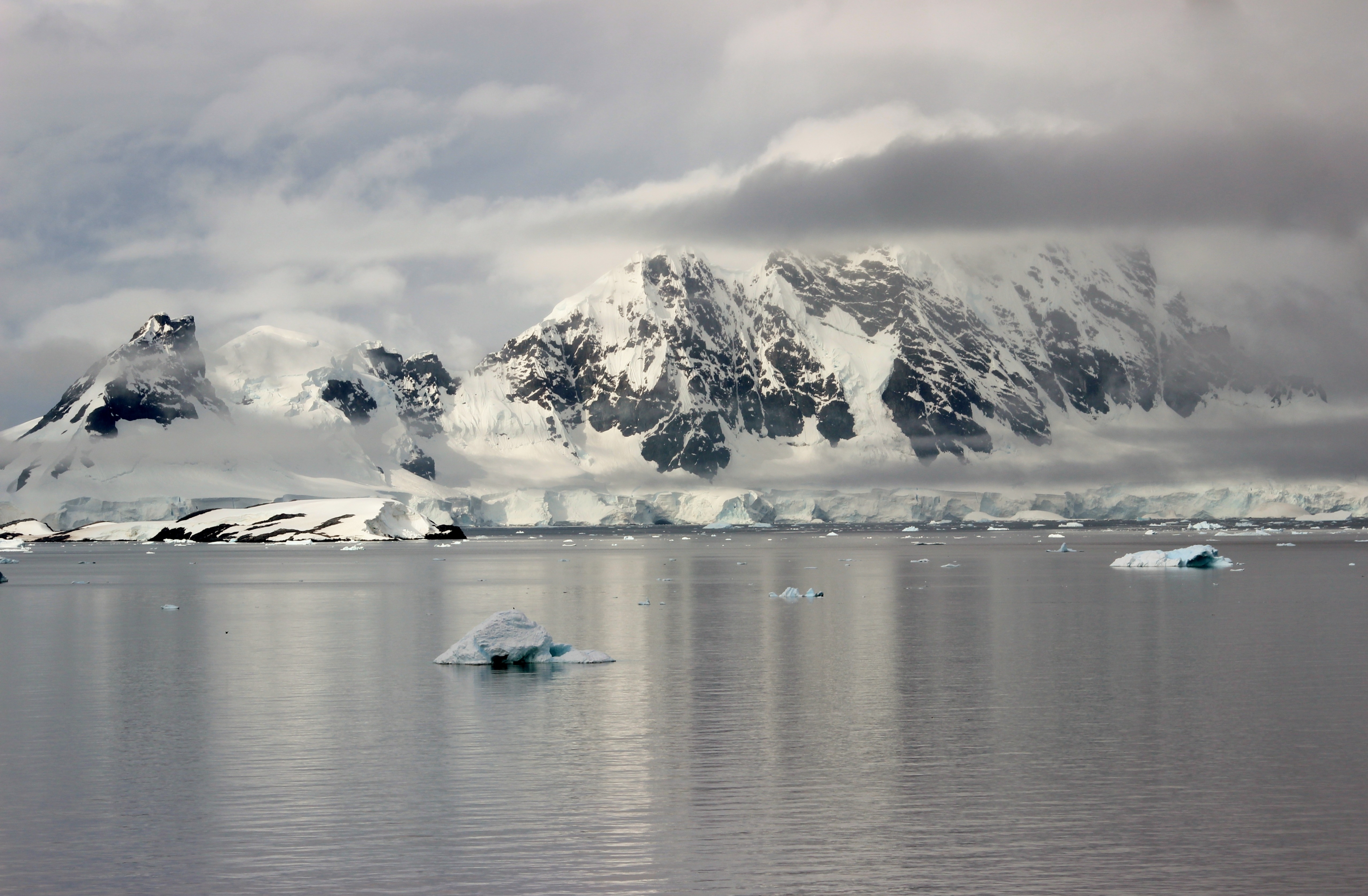 white iceberg