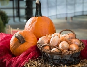 pumpkin and onions with basket thumbnail