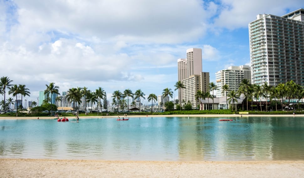 Oahu, Hawaii, Honolulu, Waikiki Beach, sky, tree preview